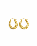 Gold Hoops